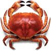 Animal de la imagen 1; seleccione su nombre